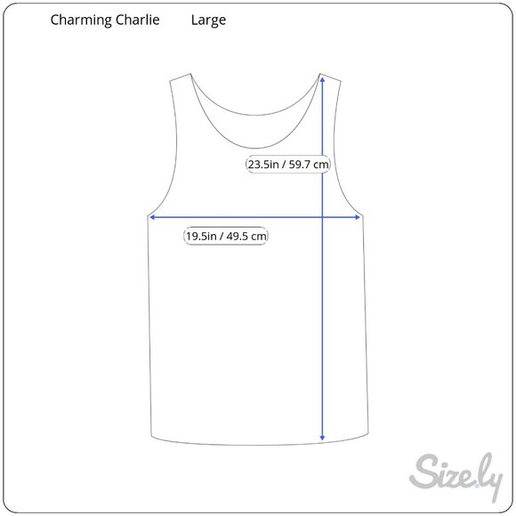 Charming Charlie Navy Blue Beaded Stripe Tank Top Shirt Size Large Lined - Picture 6 of 7